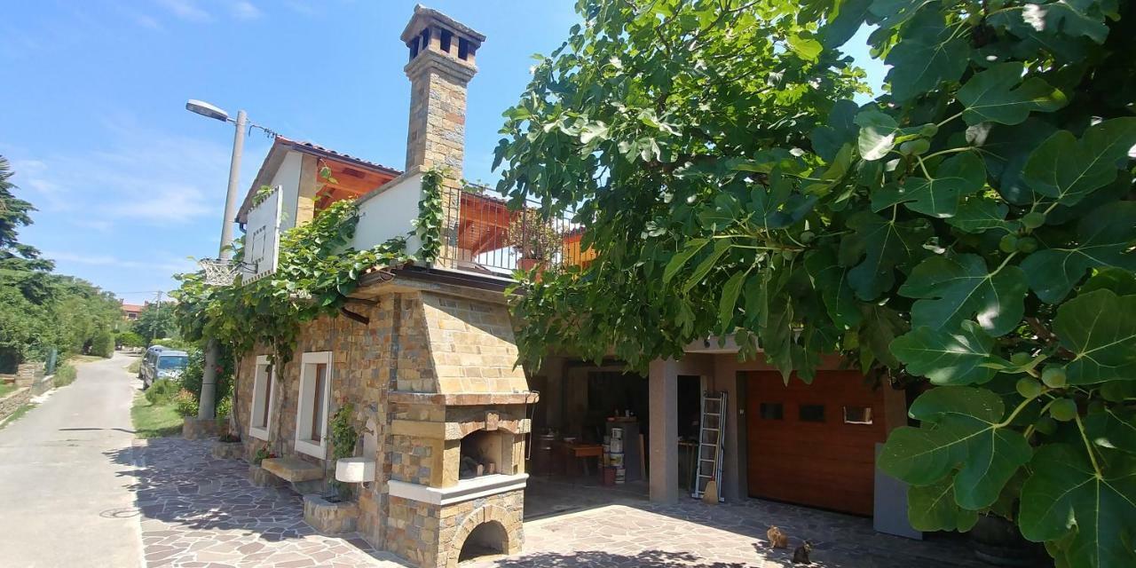 Kmetija Jogan, Wines&Apartments Pobegi Buitenkant foto